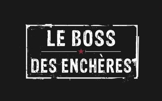 Le Boss Des Encheres Logo